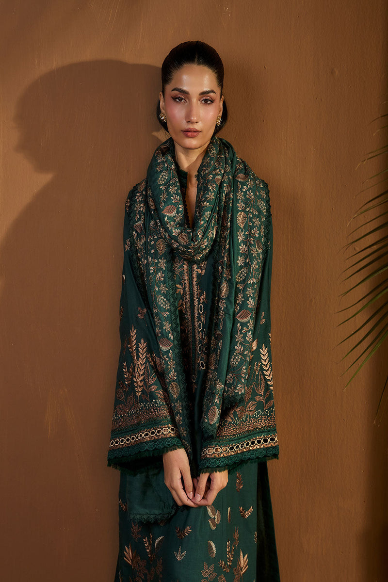 Design 4B Winter Shawl 2025 Unstitched