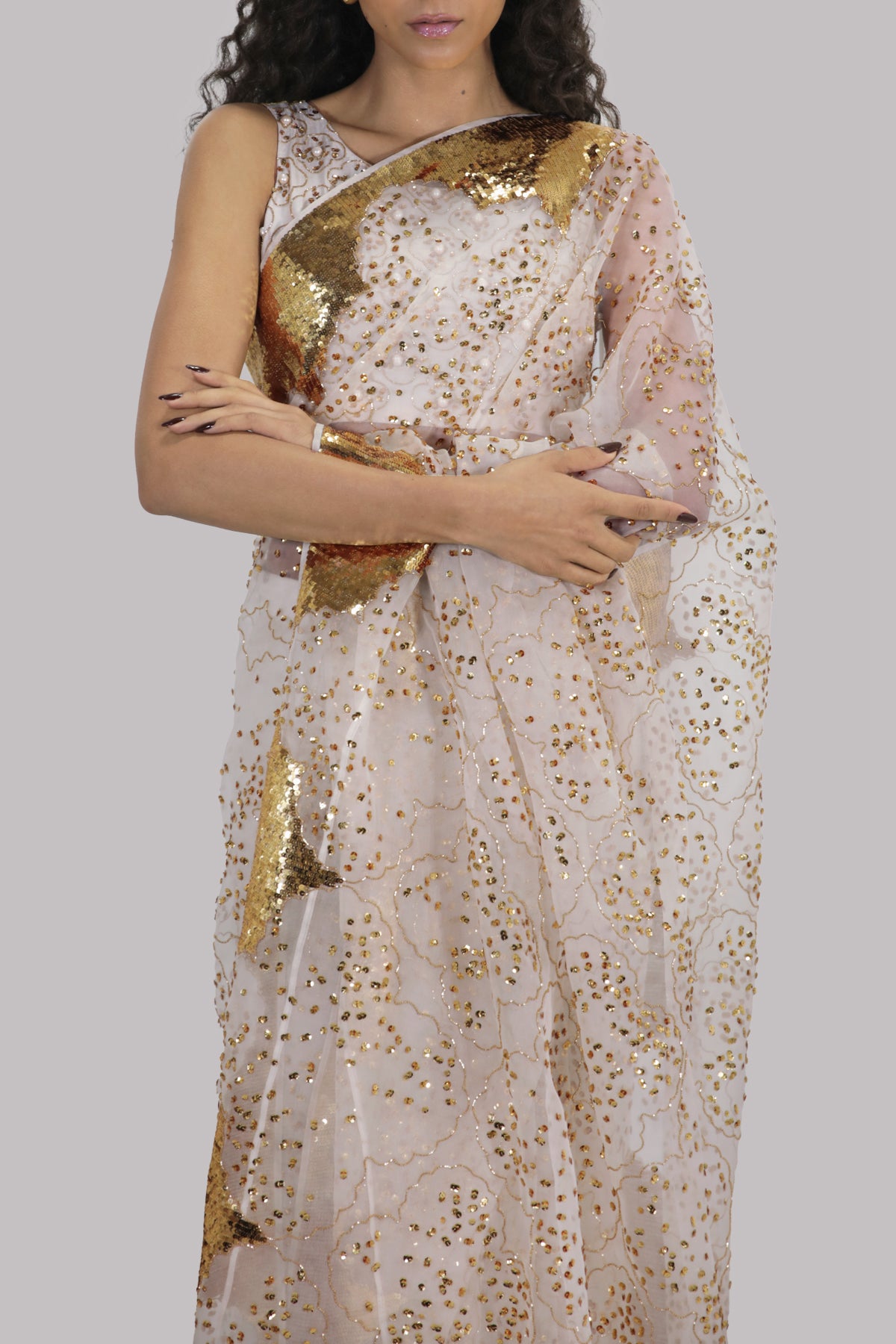 Egret Embellished Organza Sari