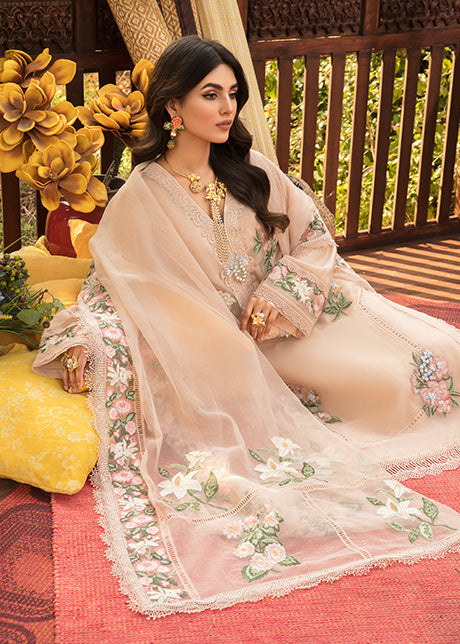 https://cdn.shopify.com/s/files/1/1625/9005/products/55_b5ddf768-d037-47ce-9df4-04755fcad77f.jpg?v=1647846547