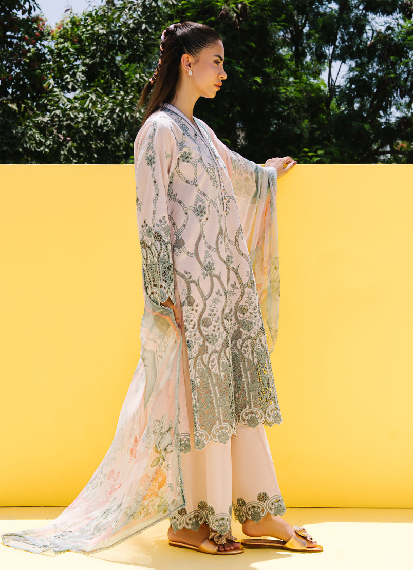https://cdn.shopify.com/s/files/1/0418/6429/8657/files/5_2b5b61d9-2764-4a50-b18b-43b3c9f8c090.jpg?v=1780297483
