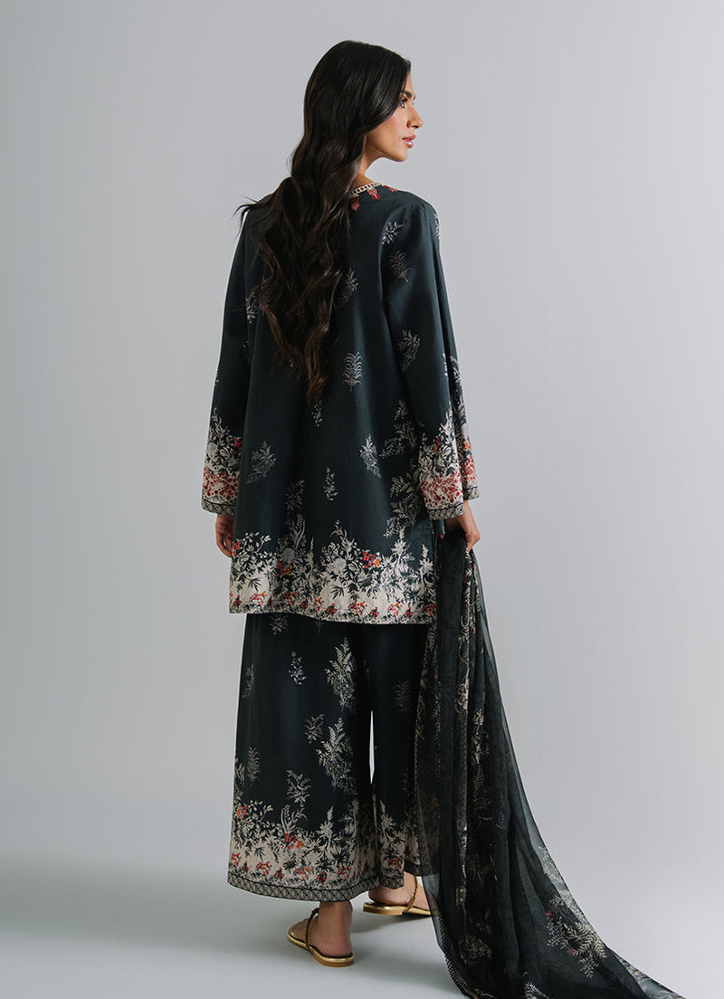 3 Pc Printed Embroidered Suit