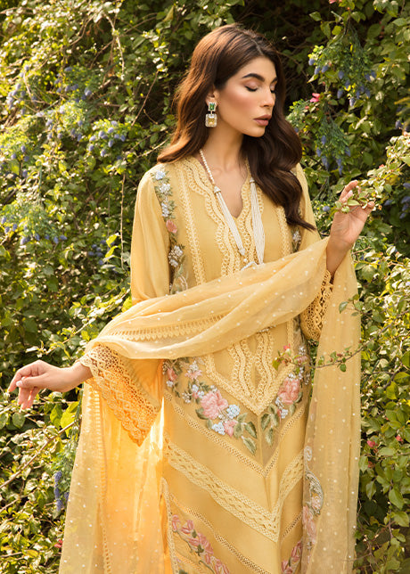 https://cdn.shopify.com/s/files/1/1625/9005/products/60_ccf80160-a100-4473-bbff-51ceb9d4891c.jpg?v=1647846538