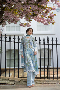 Design 6A SN Basics 2025 UNSTITCHED