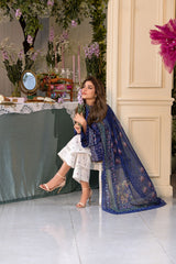 Design 6B Vital 2025 Unstitched