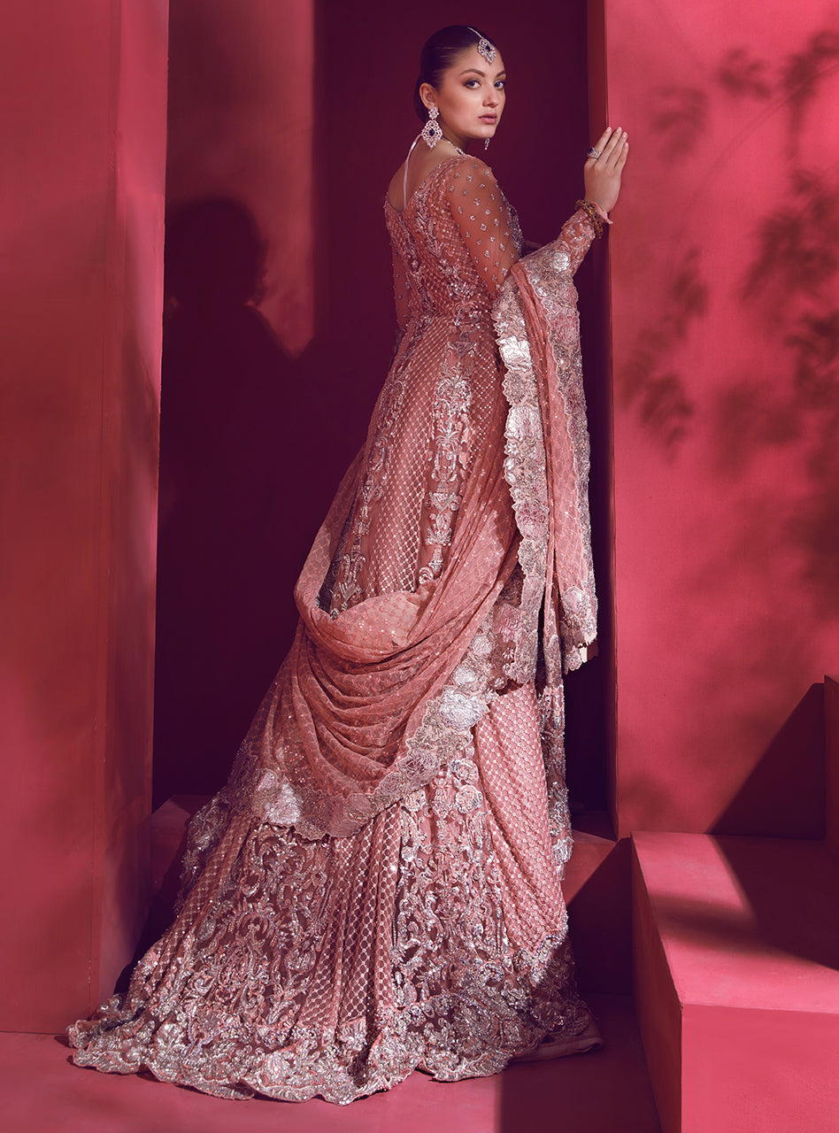 Steller Pink