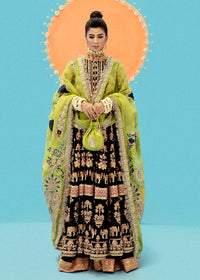 Koel