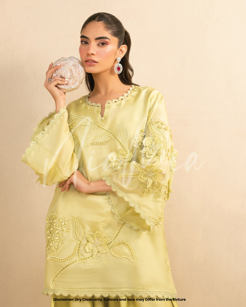 https://cdn.shopify.com/s/files/1/0643/9449/4197/files/6_9d86e044-4057-4a4a-9699-3b4d80e70dd7.jpg?v=1770211546