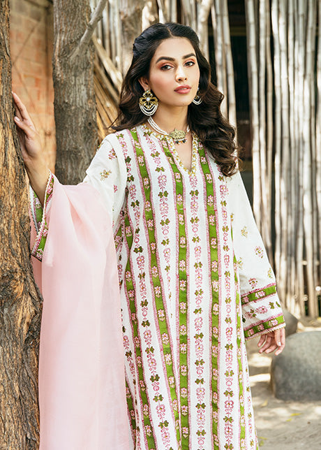 https://cdn.shopify.com/s/files/1/3006/7522/products/73_e1327b8d-2494-49d1-9b22-fea0245260e2.jpg?v=1649844518