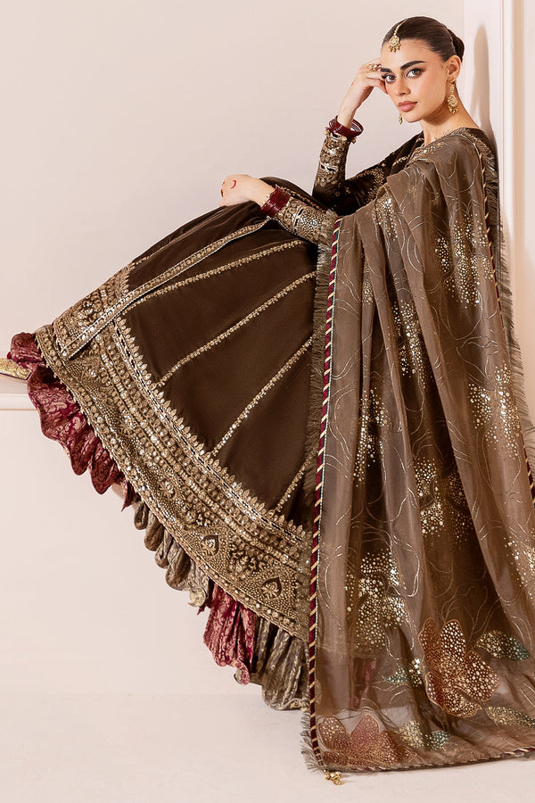 Embroidered Velvet Formal CVF25-D04