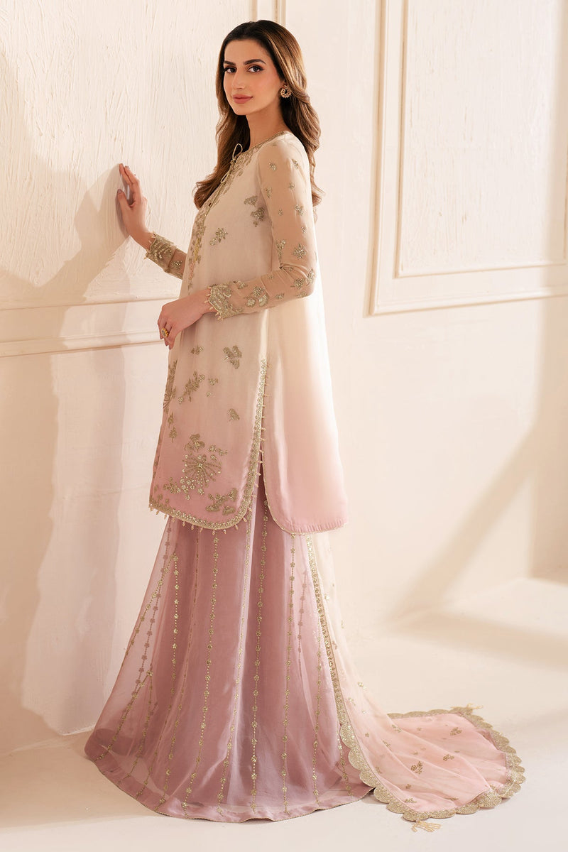 Embroidered Chiffon Uc-3067