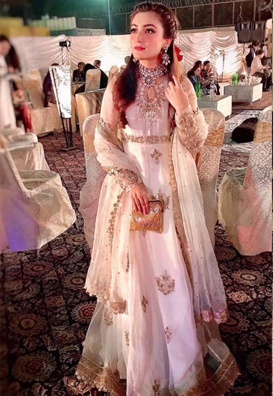 Ashna - Client Diary