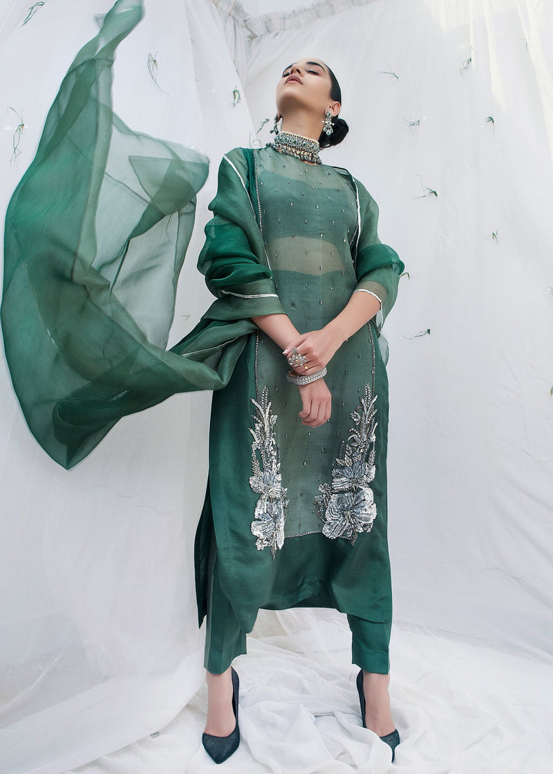 Plain Chiffon Dupatta with Trimmings