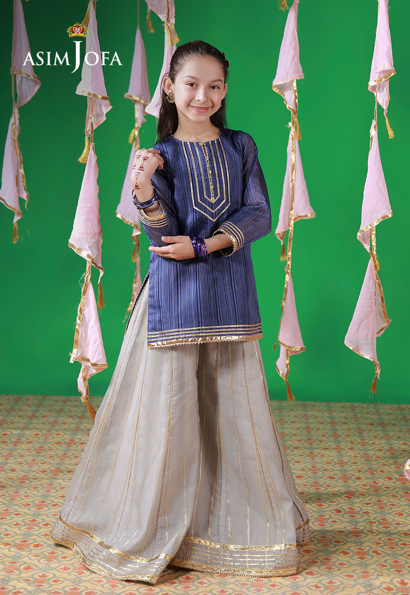 Ajkl-10 Organza Blue Lines Stitched 2 Pcs