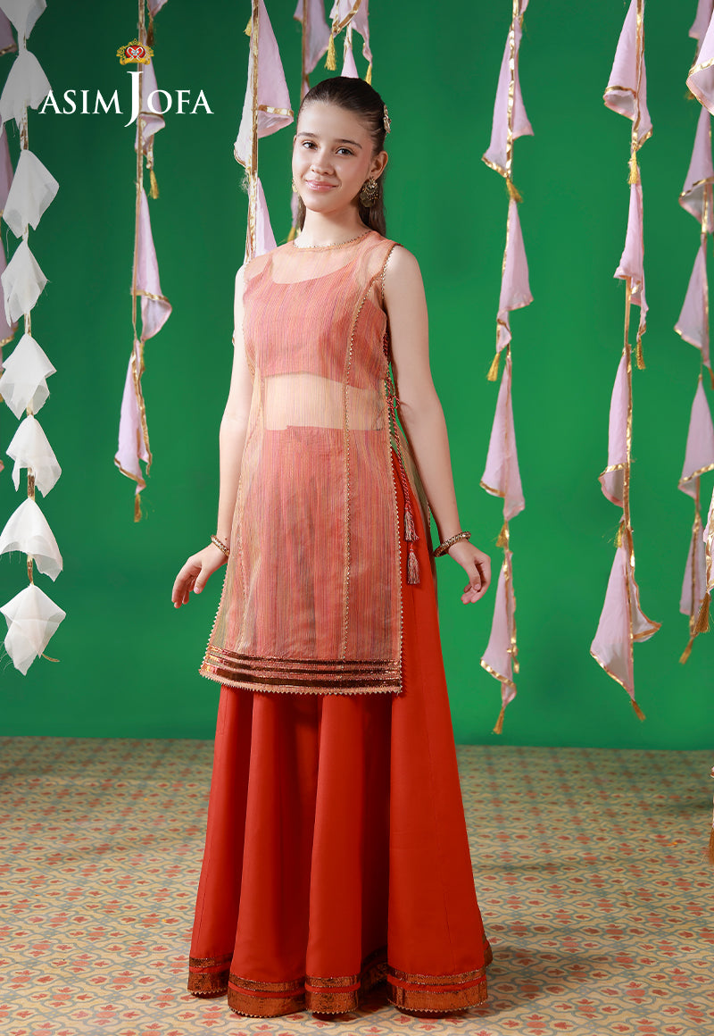 Ajkl-01 Organza Stitched 2 Pcs