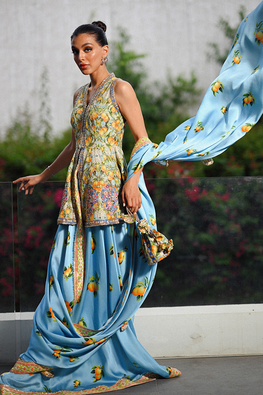 https://cdn.shopify.com/s/files/1/0588/3661/5221/files/A1SANIAMEHLUMEXTRA43.jpg?v=1725275534