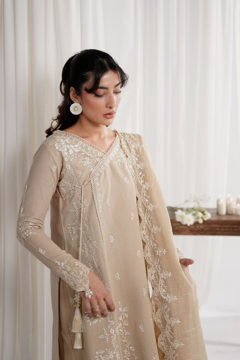 SAND BEIGE LUXURY EMBROIDERED 3PCS SET NPA3-25419 (EID 2025 READY TO WEAR) - EXPRESS SHIPPING