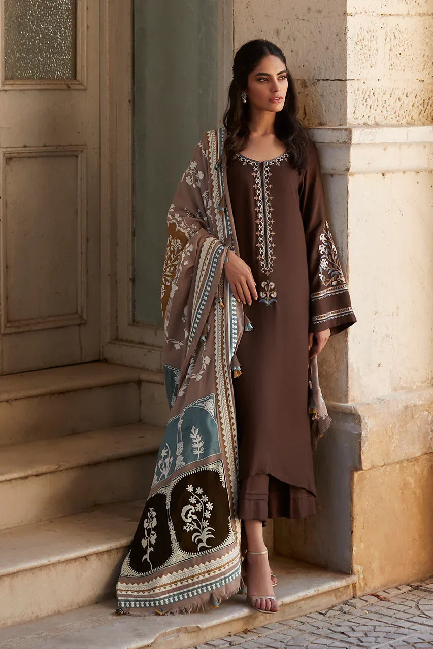 Earthy Hues Shawl
