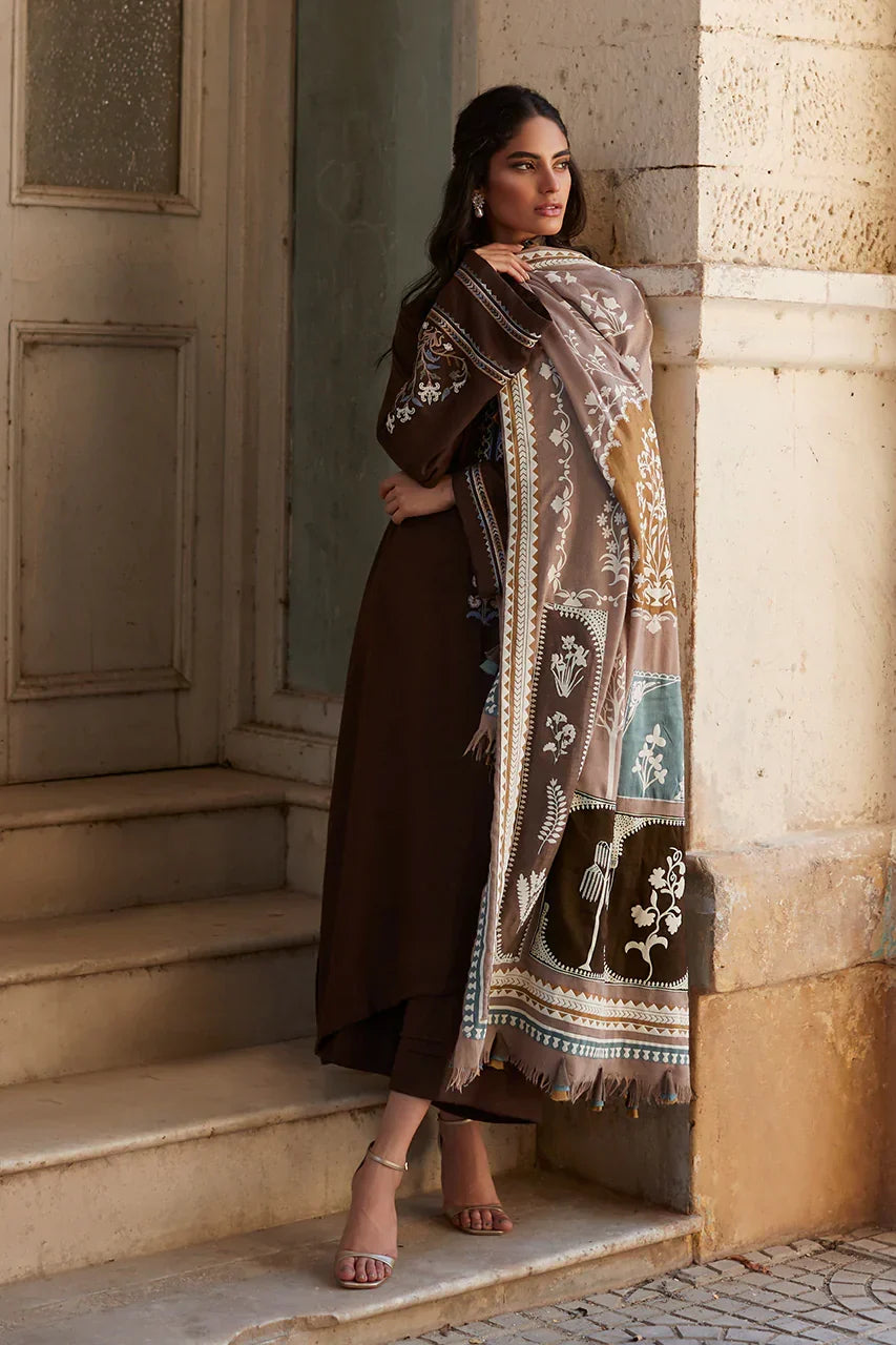 Earthy Hues Shawl