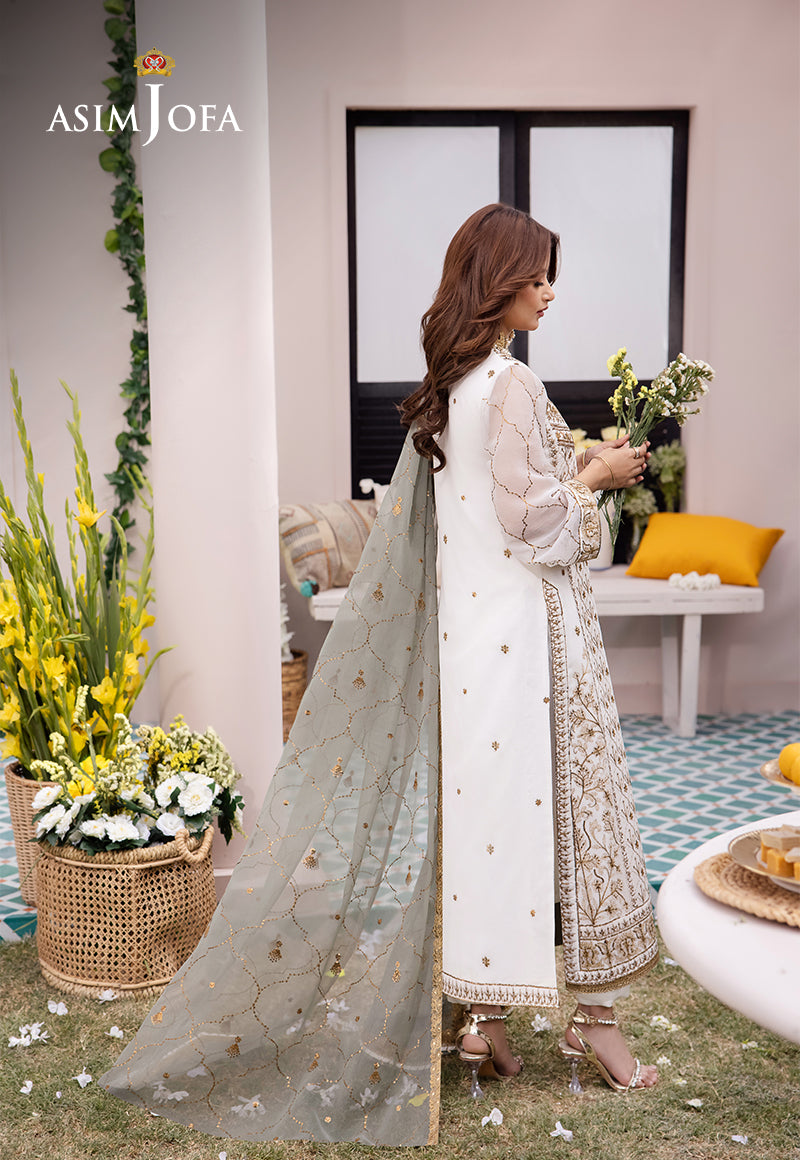 https://cdn.shopify.com/s/files/1/0690/7320/7593/files/AJCFB-17DhanakRangbackimagewebsize.jpg?v=1748667241
