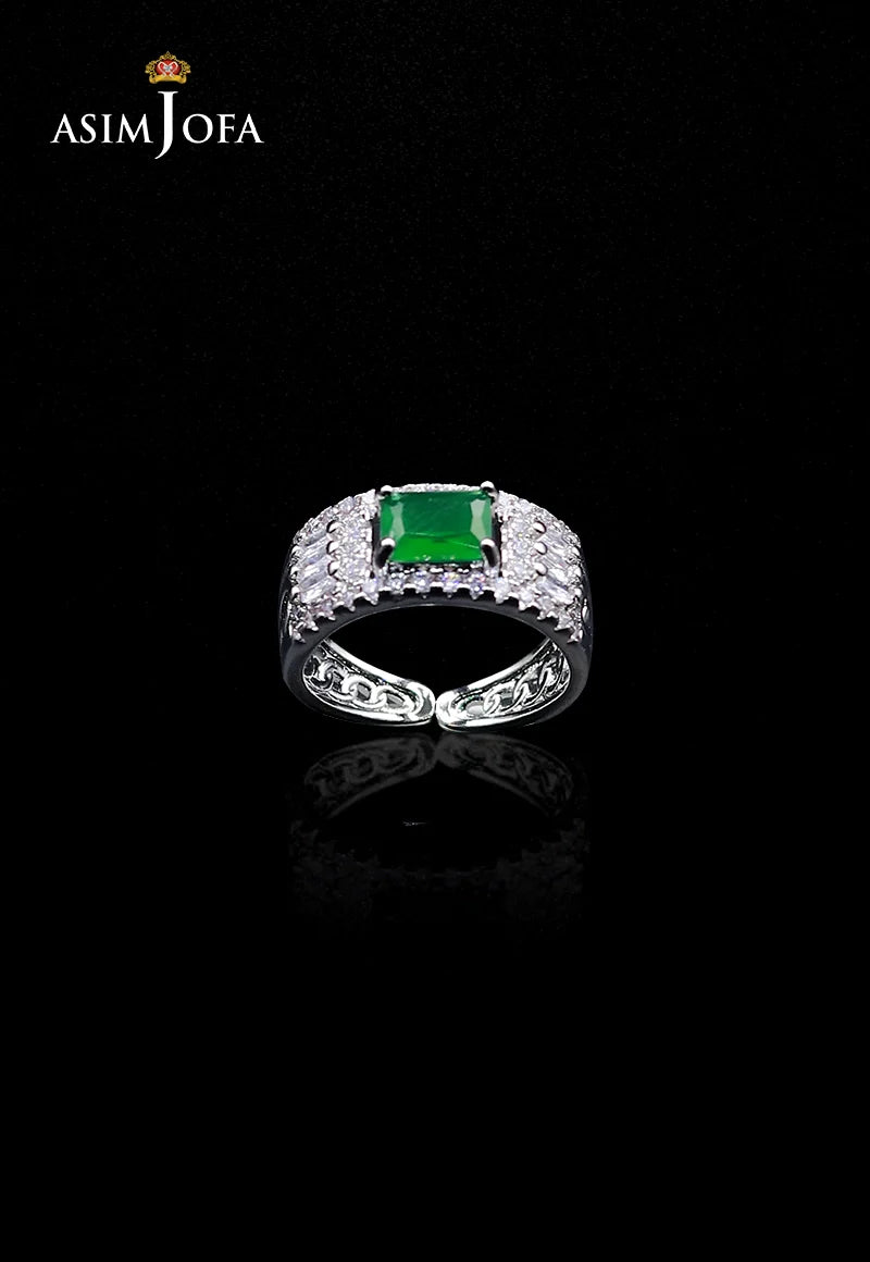 https://cdn.shopify.com/s/files/1/0690/7320/7593/files/AJJRI-214_6_copy.webp?v=1748348839