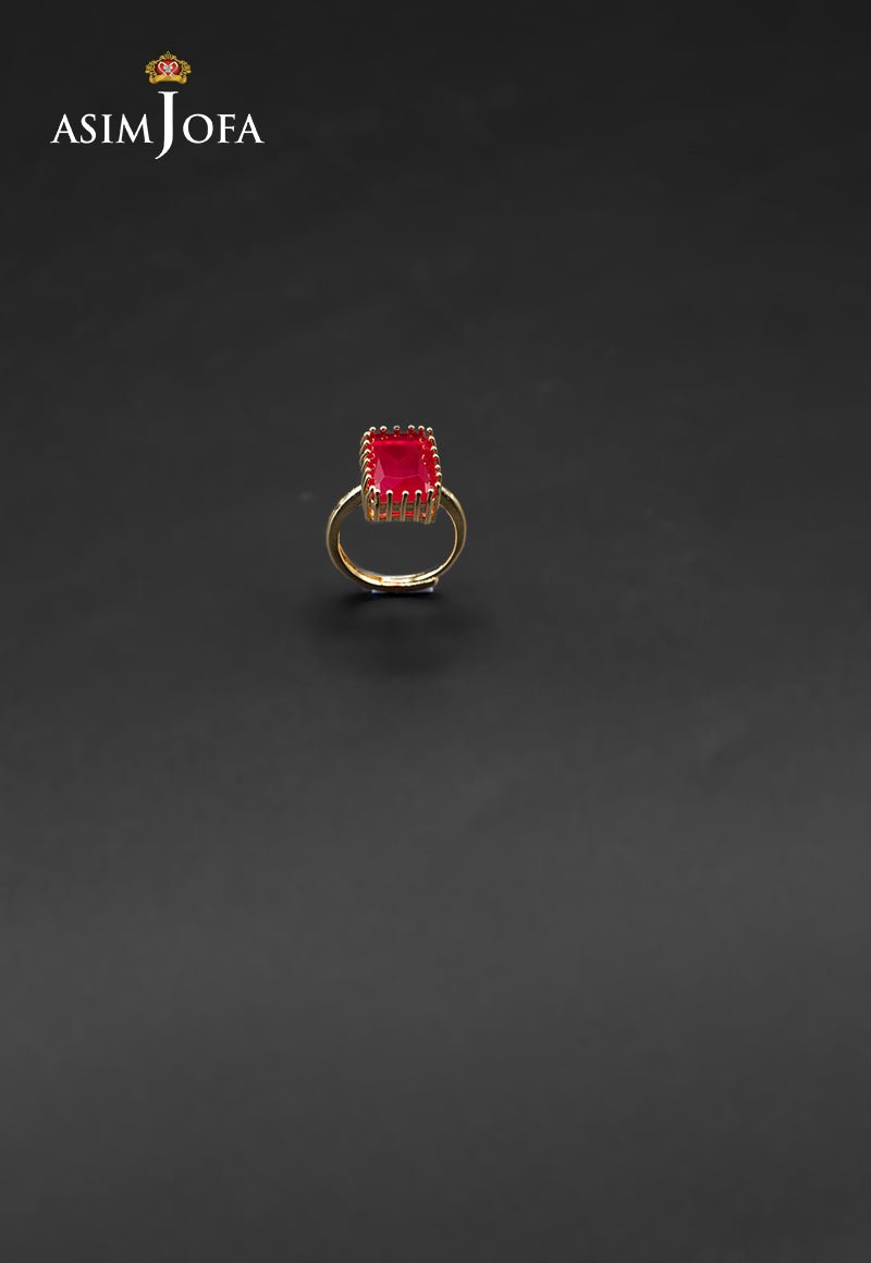 https://cdn.shopify.com/s/files/1/0690/7320/7593/files/AJJRI-6980-80.jpg?v=1747043315