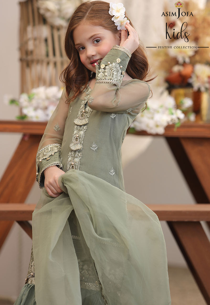 AJLLFB-19 Embroidered Chiffon Stitched 3 Pcs