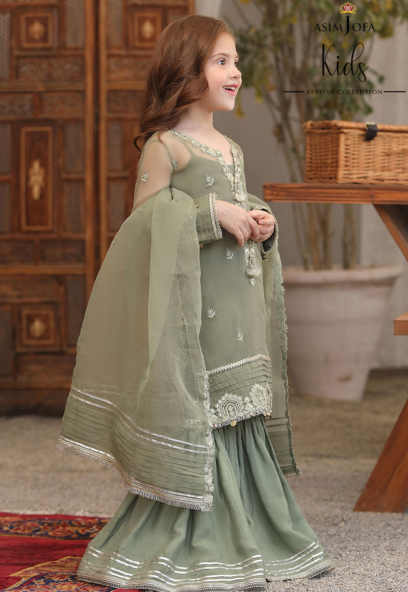 AJLLFB-19 Embroidered Chiffon Stitched 3 Pcs
