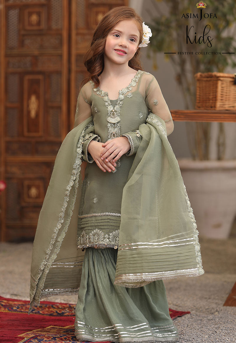 AJLLFB-19 Embroidered Chiffon Stitched 3 Pcs