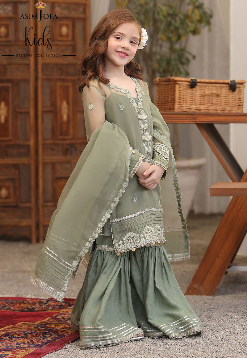 AJLLFB-19 Embroidered Chiffon Stitched 3 Pcs