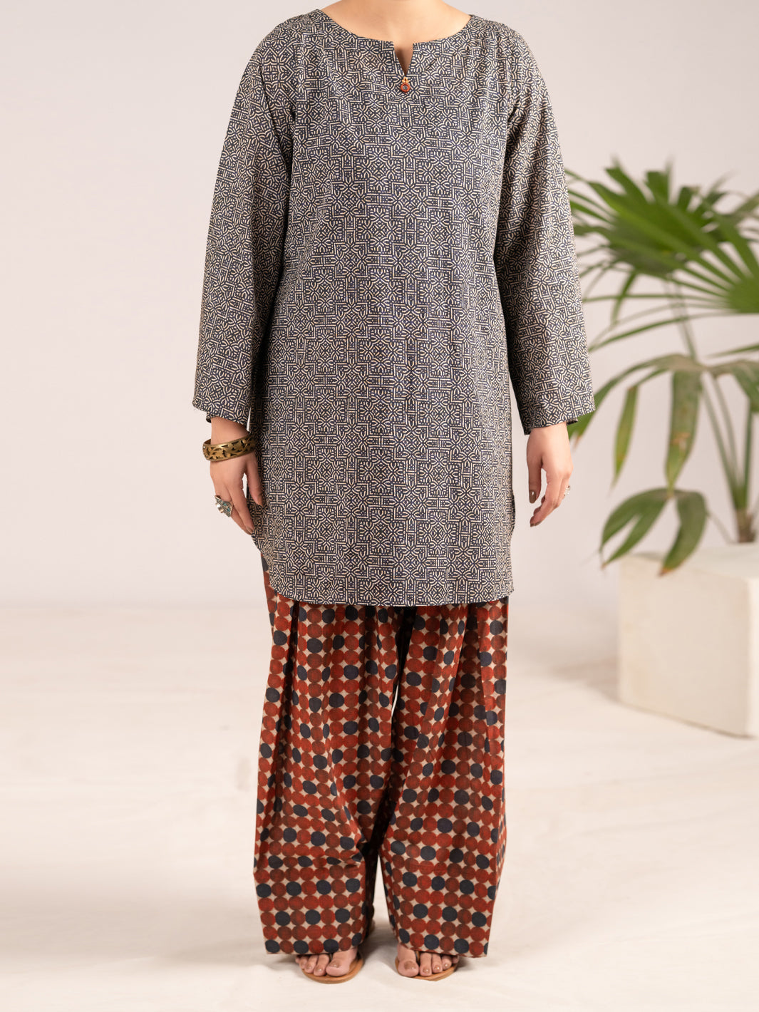 Multicolor Lawn Co-Ord Set - ALP-2PS-SLKS-2555