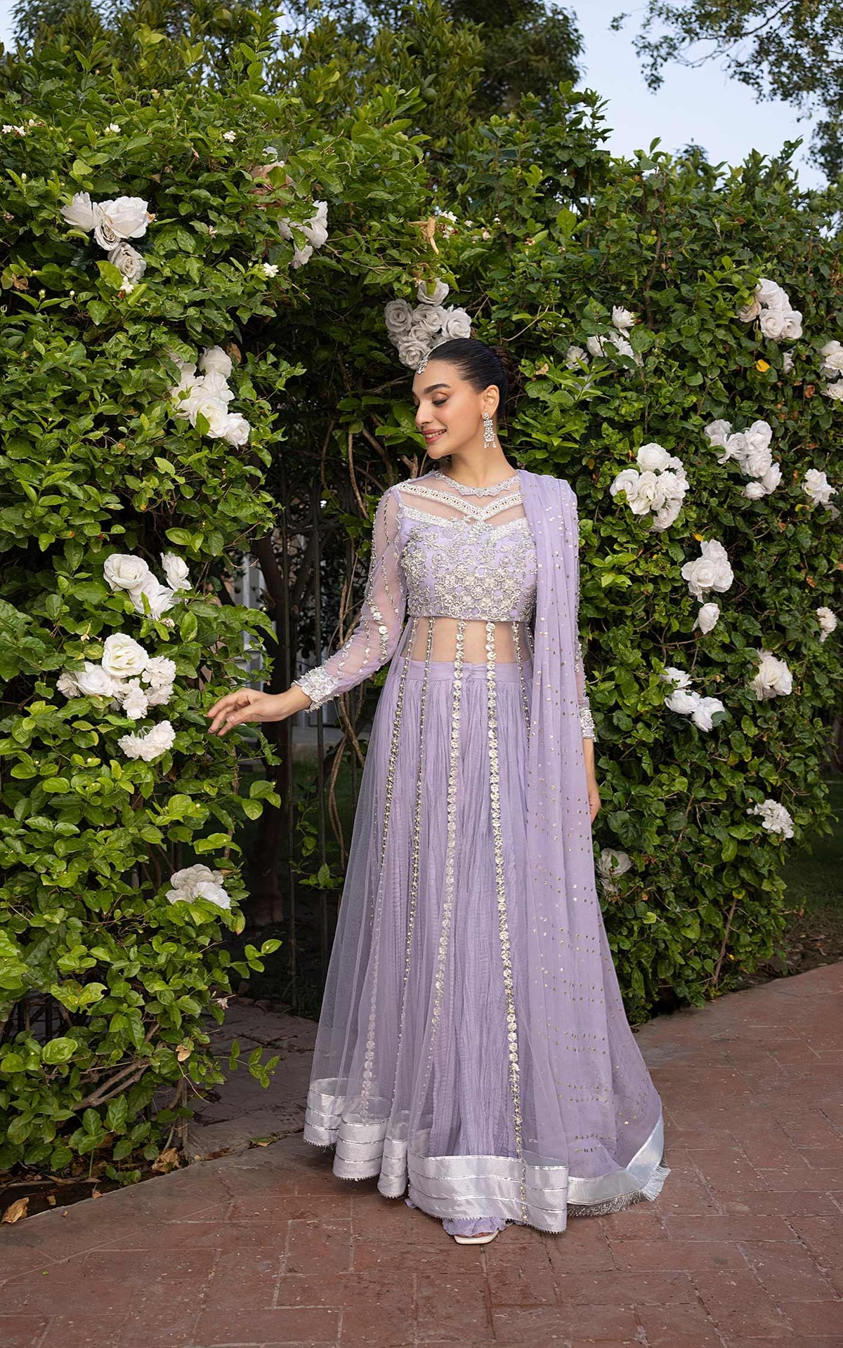 Lavender Serenade