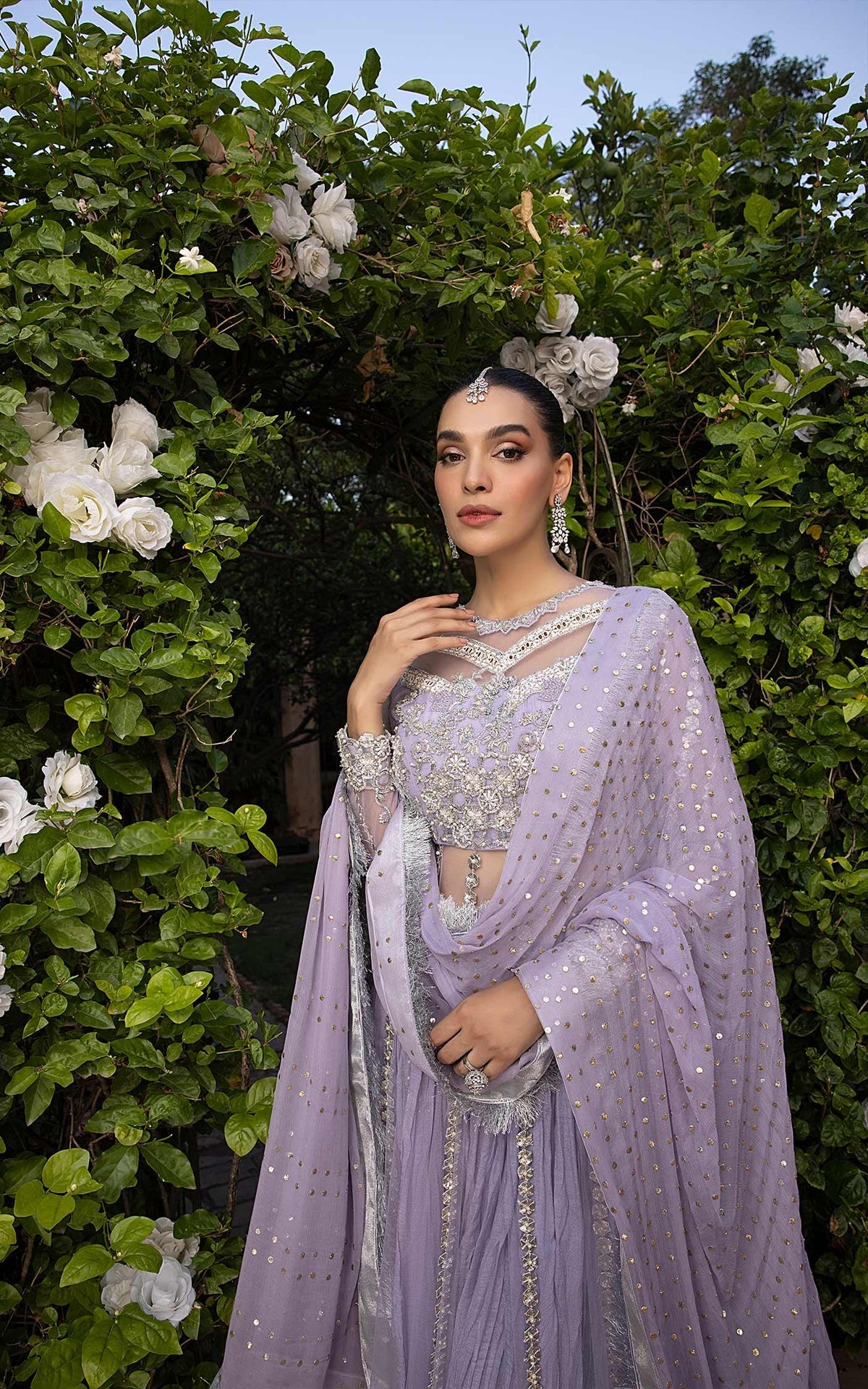 Lavender Serenade