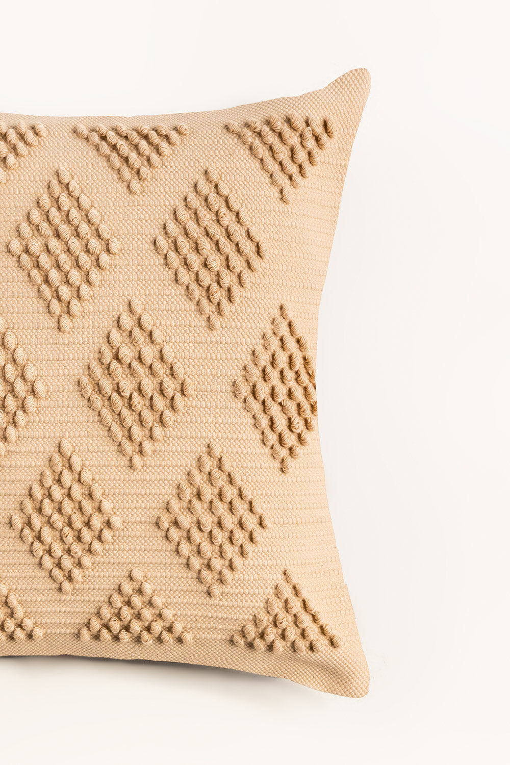 Aw25-Woven Cushion Cover 027