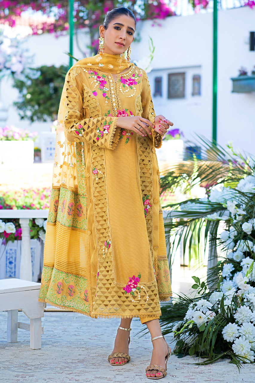 Nadia Farooqui