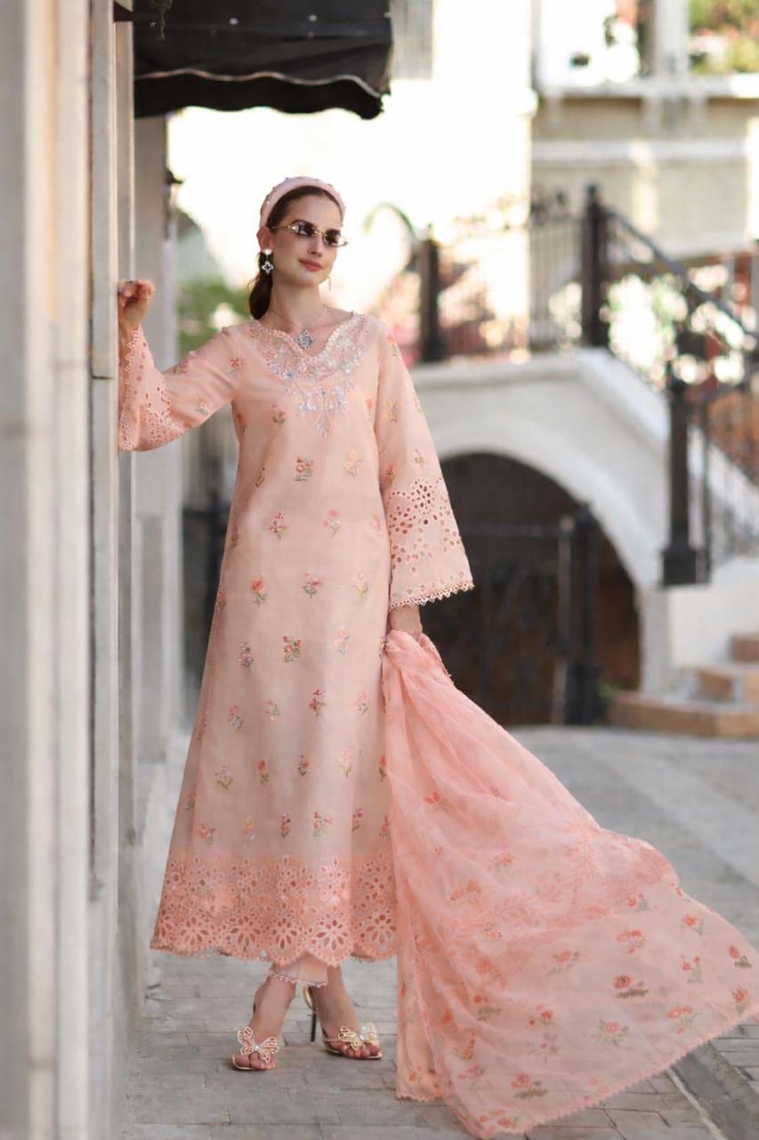 https://cdn.shopify.com/s/files/1/0501/5381/6222/files/B541B125-F8E1-4088-AB1F-BEB3F3898B78.jpg?v=1772287524