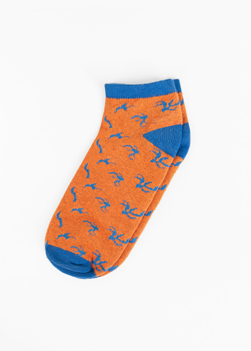 https://cdn.shopify.com/s/files/1/0872/1278/5848/files/BCMTLO3_2.jpg?v=1775556664