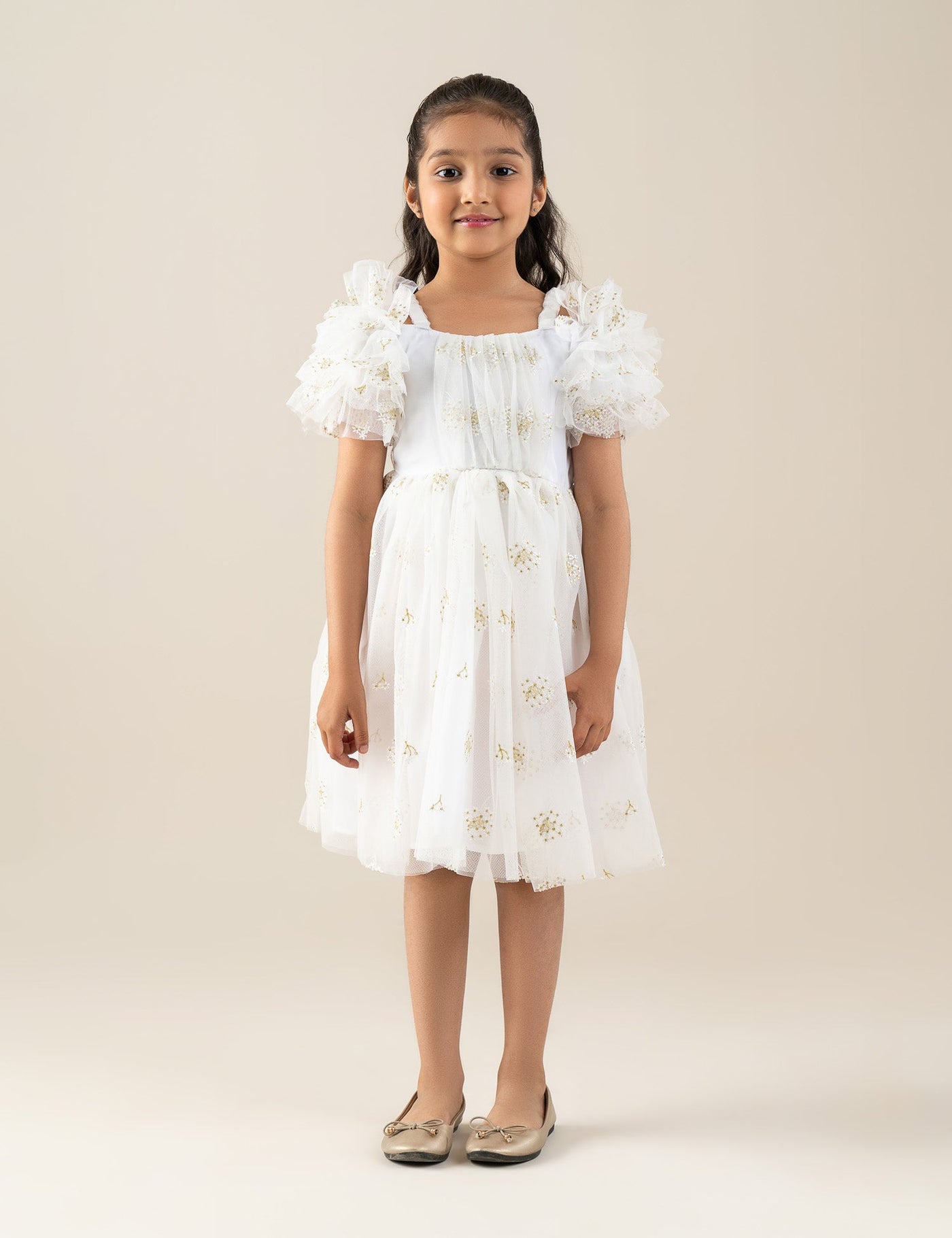 Embroidered Tulle Dress