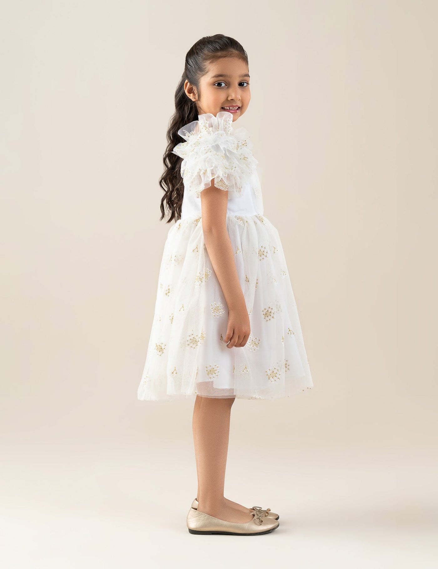 Embroidered Tulle Dress