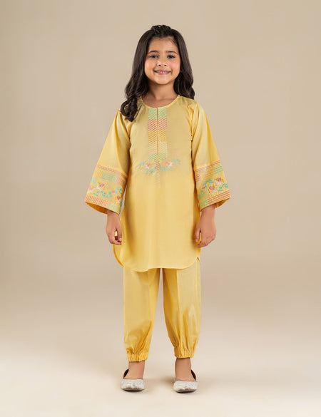 2 PIECE ETHNIC EMBROIDERED SUIT