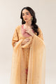 3 PIECE BASIC RAW SILK SUIT (LUXURY PRET)
