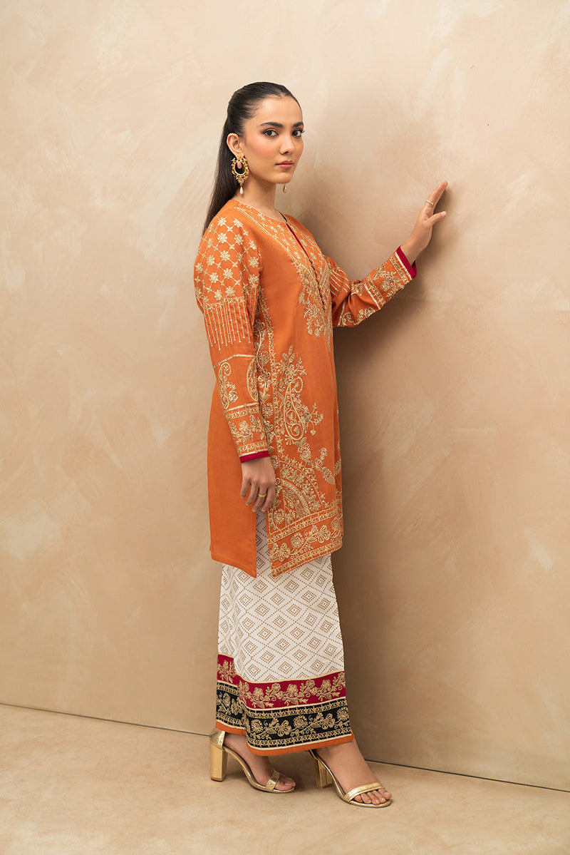 2 Piece Embroidered Raw Silk Suit (Luxury-Pret)
