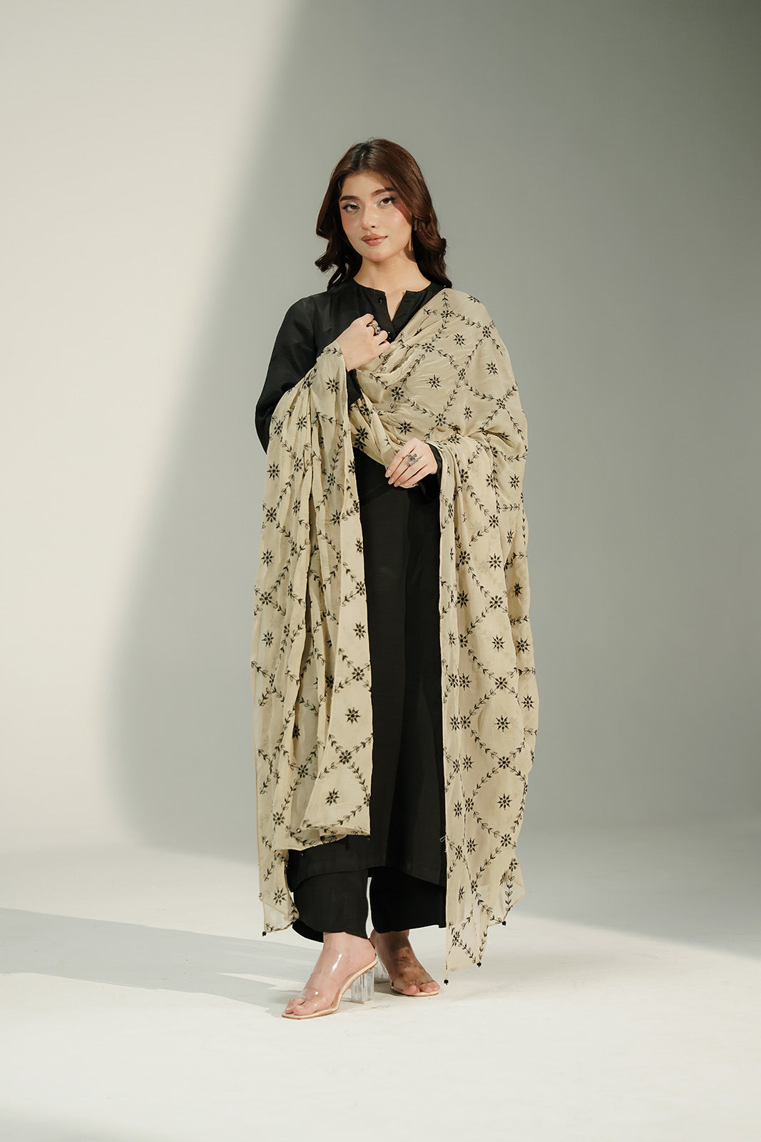 1 Piece Chiffon Embroidered Dupatta (CD0015)