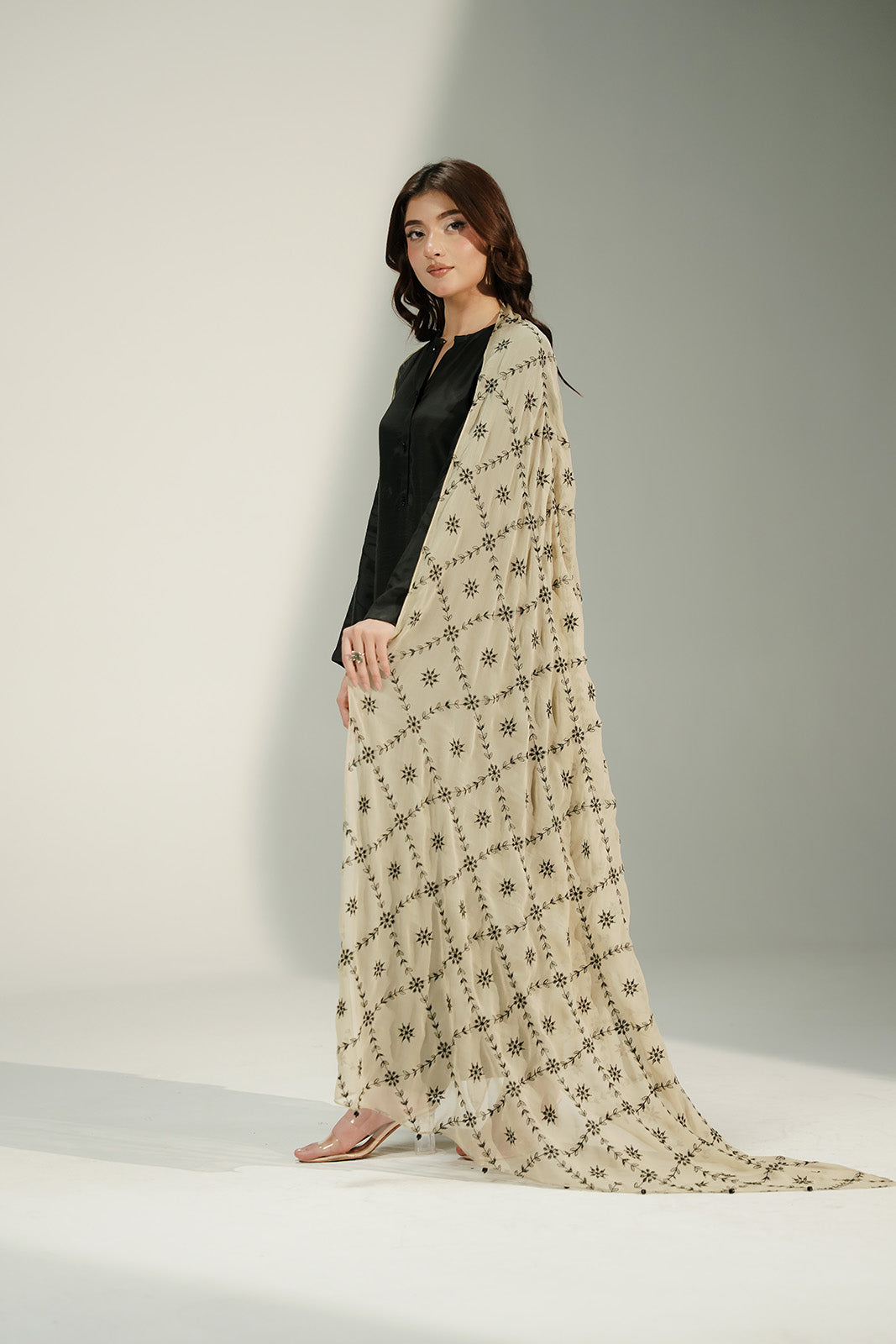 1 Piece Chiffon Embroidered Dupatta (CD0015)