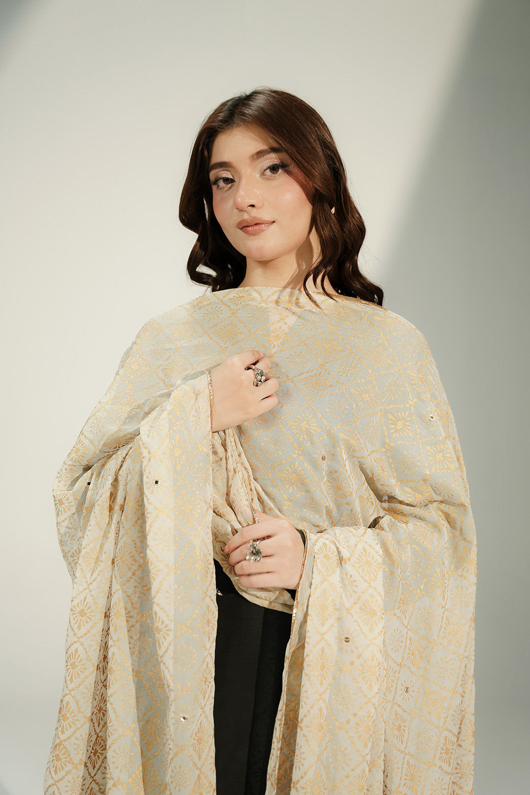 1 Piece Chiffon Printed Dupatta (CD0018)