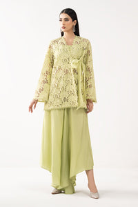 Embroidered Georgette Fabric (1Pc)