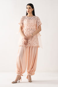 Embroidered Georgette Fabric (1Pc)