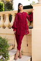 Embroidered Lace Fabric (1Pc)