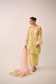 Ss24Dd-2466 Multi Dupatta
