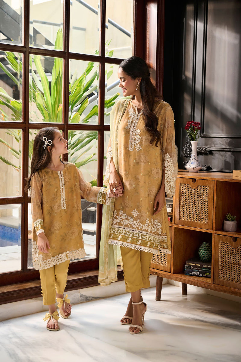Plain Chiffon Dupatta with Trimmings