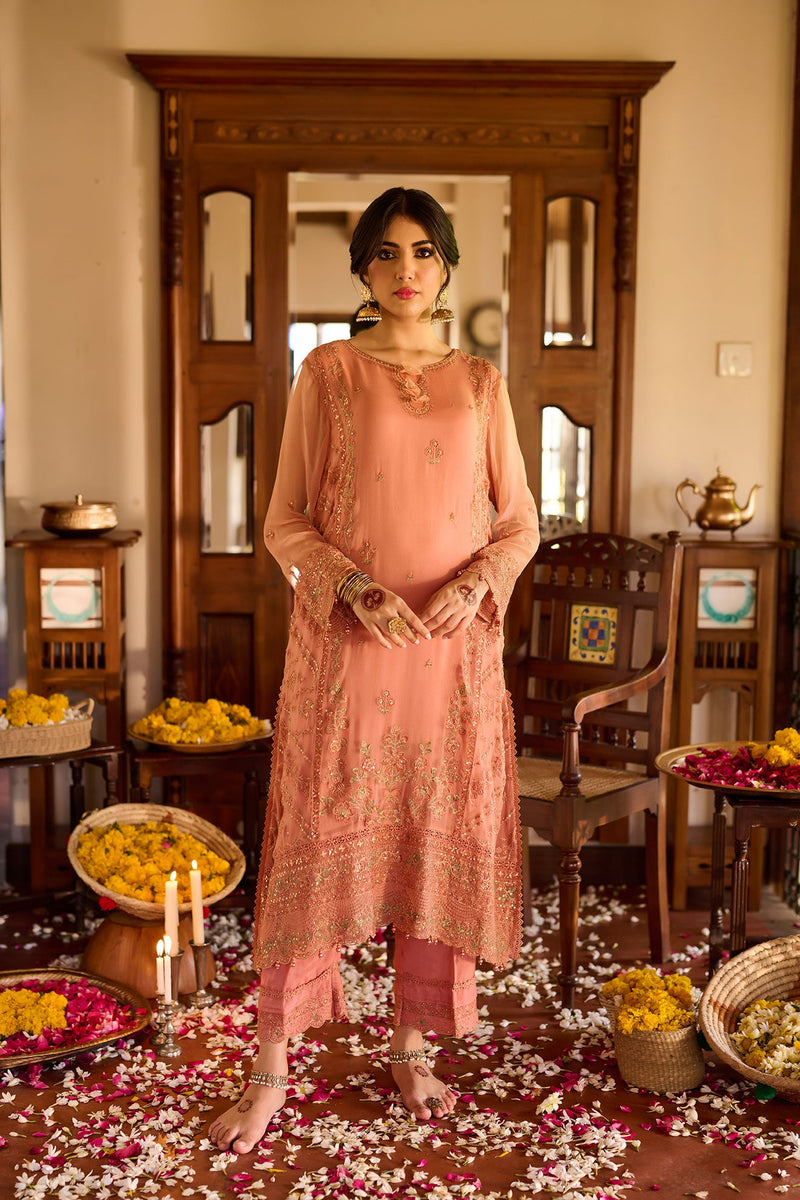 Ss24Da-2366 Rust 2Pcs Embroidered Kurta With Trouser